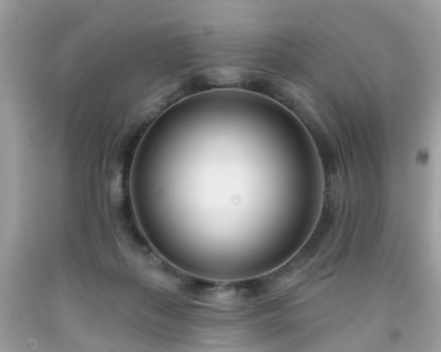 X0000091990267200709131500