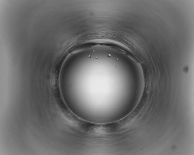 X0000091990268200709131500