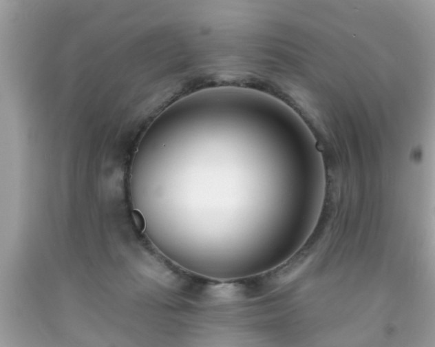 X0000091990269200709131500