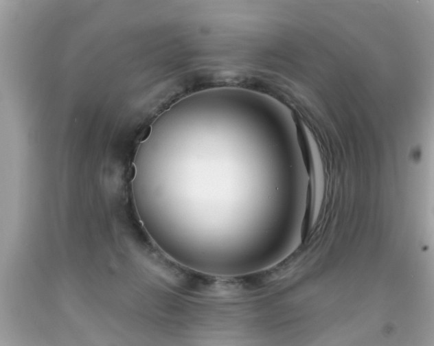 X0000091990270200709131500