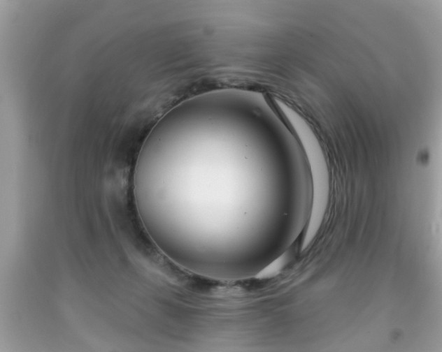 X0000091990271200709131500