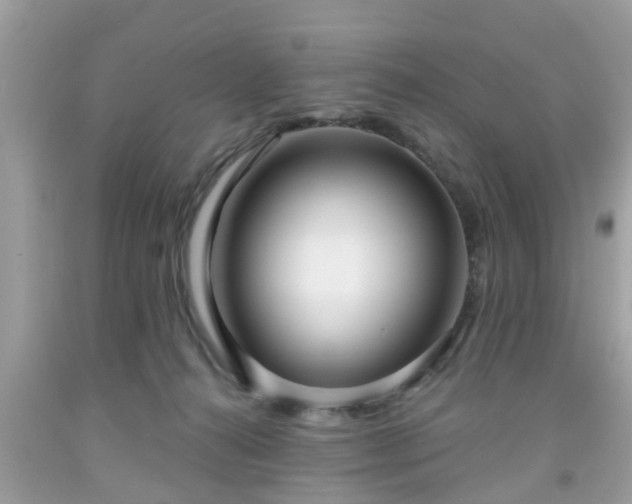 X0000091990272200709131500