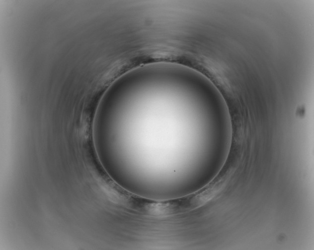 X0000091990273200709131500
