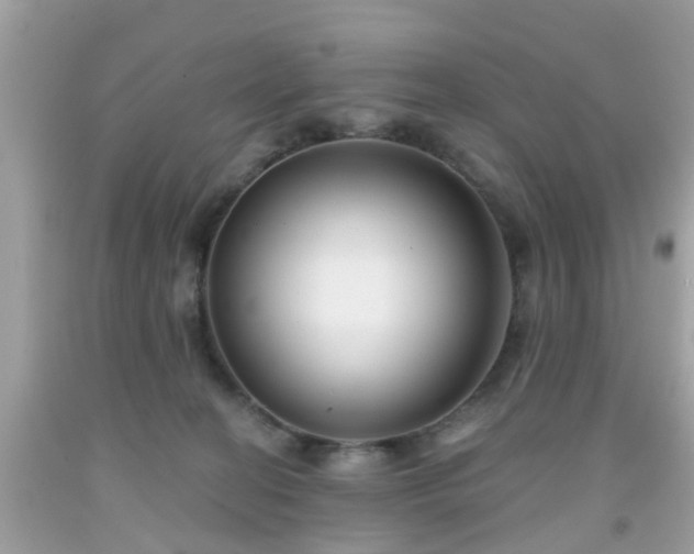 X0000091990274200709131500