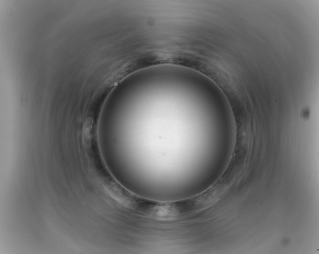 X0000091990275200709131500