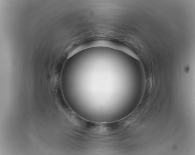 X0000091990276200709131500
