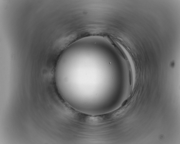 X0000091990277200709131500