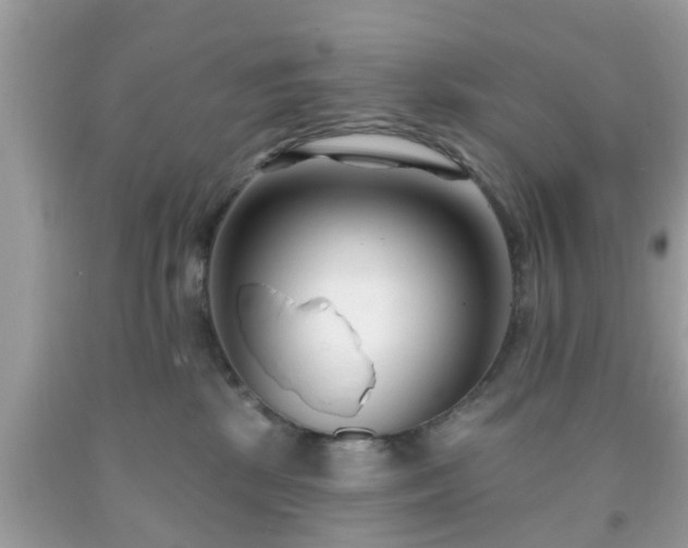 X0000091990281200709131500