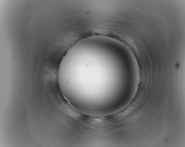 X0000091990285200709131500