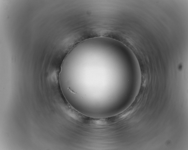 X0000091990286200709131500