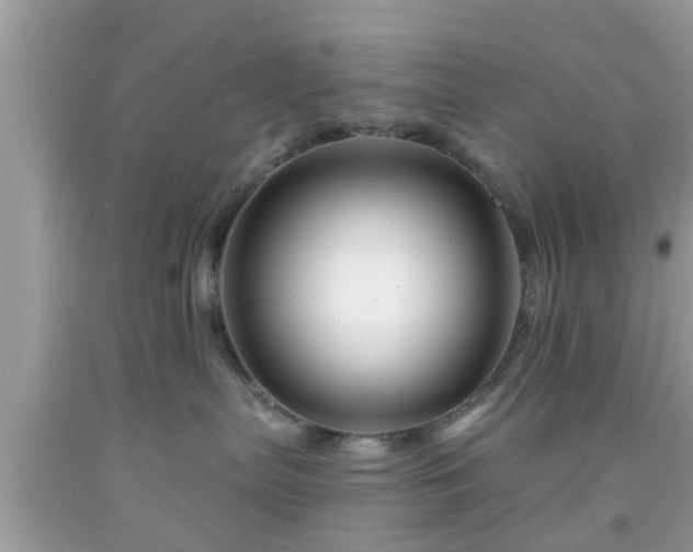 X0000091990287200709131500