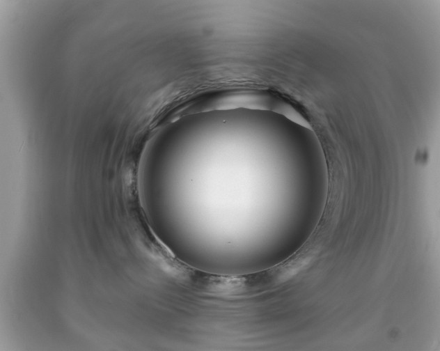 X0000091990288200709131500