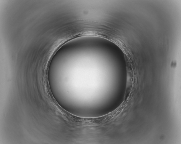 X0000091990289200709131500