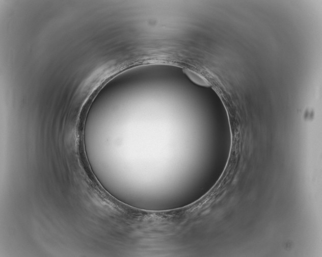 X0000091990290200709131500