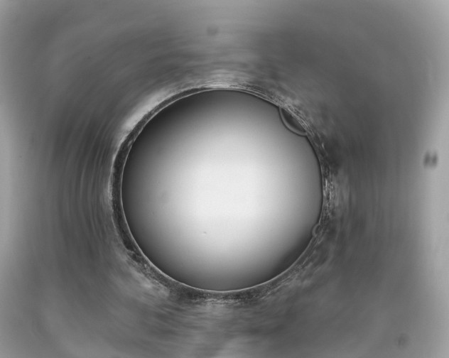 X0000091990292200709131459