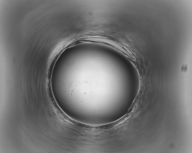 X0000091990293200709131459