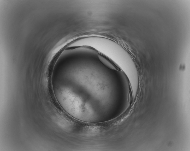 X0000091990295200709131459