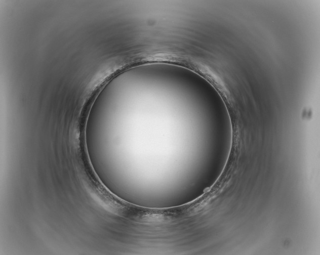 X0000091990298200709131459
