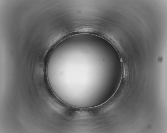 X0000091990300200709131459