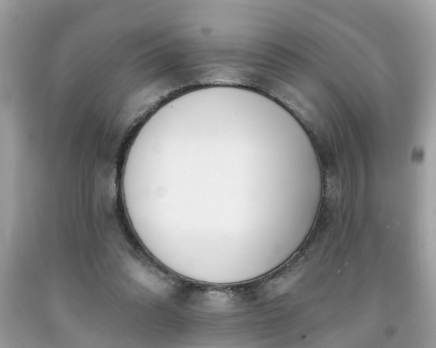 X0000091990302200709131459