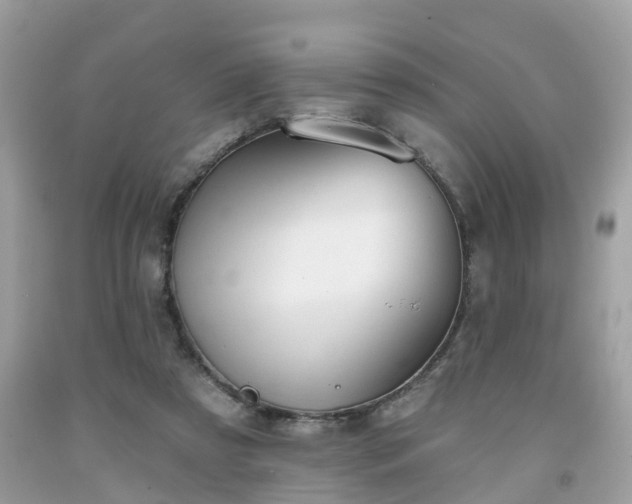 X0000091990305200709131459