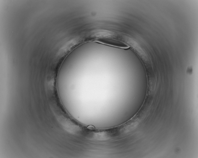 X0000091990309200709131459