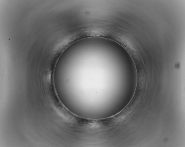 X0000091990310200709131459