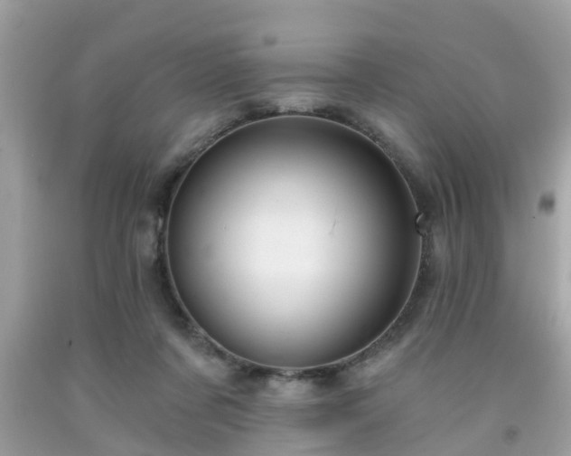 X0000091990311200709131459