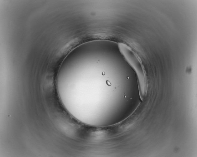 X0000091990312200709131459