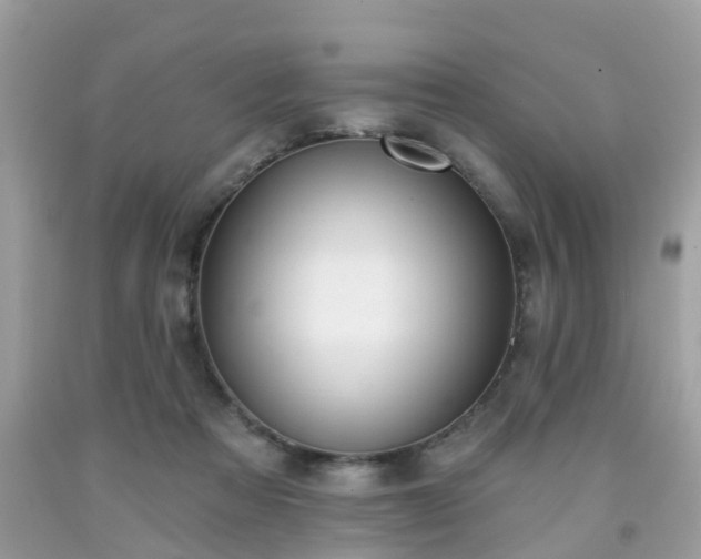X0000091990313200709131459