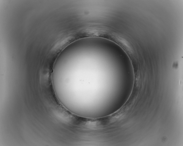 X0000091990314200709131459