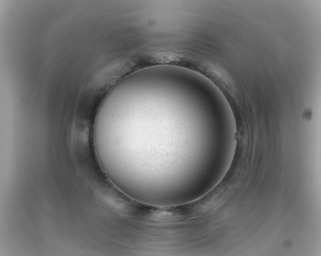X0000091990315200709131459