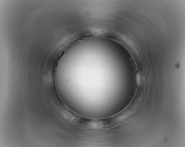 X0000091990317200709131459