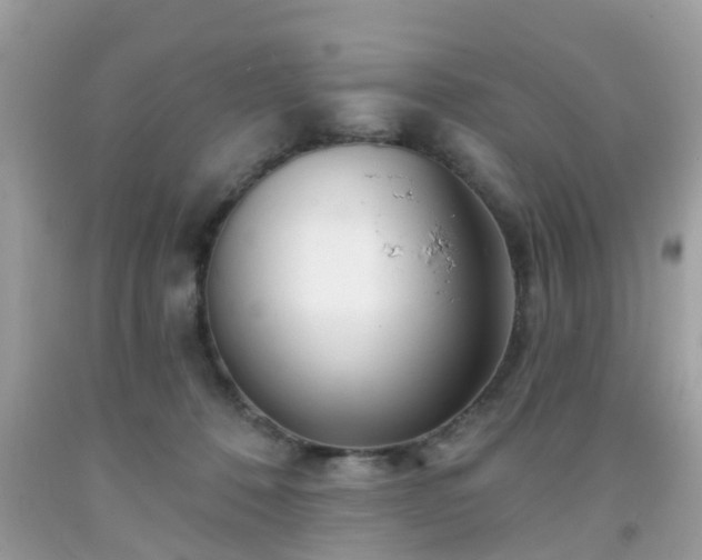 X0000091990320200709131459