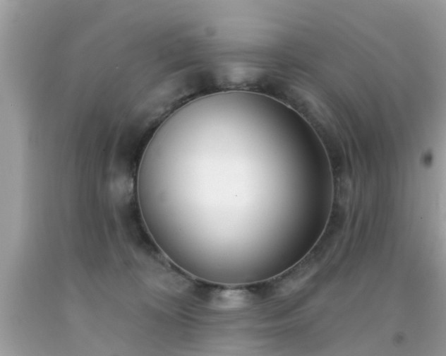 X0000091990324200709131459