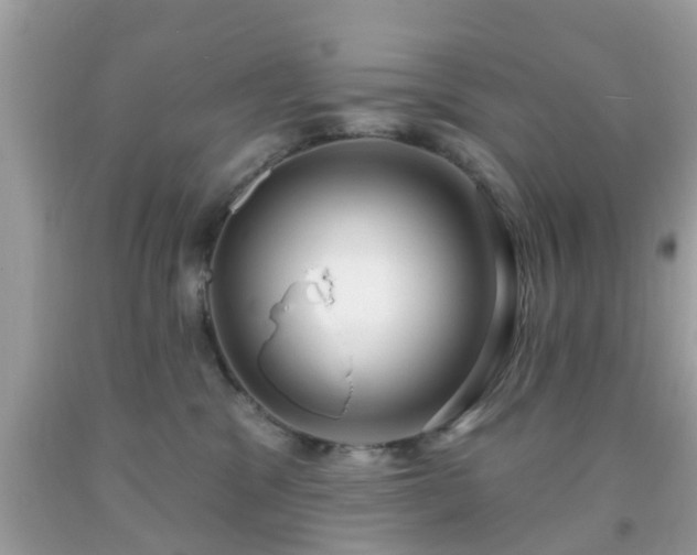 X0000091990329200709131459