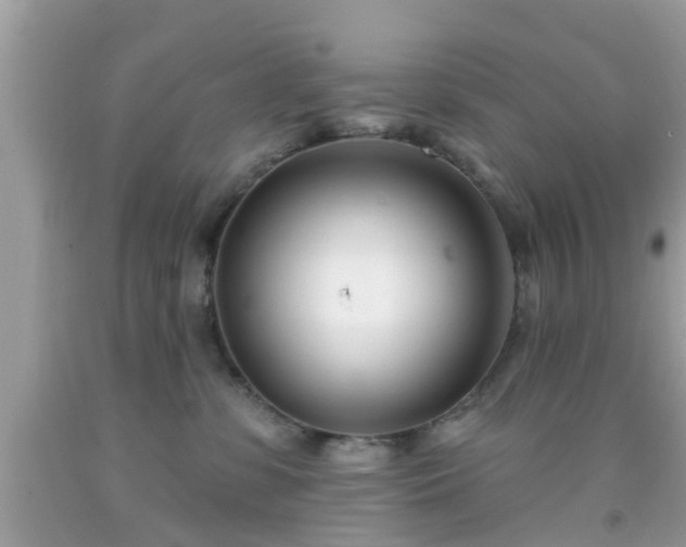 X0000091990331200709131459