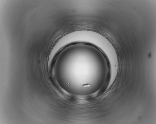 X0000091990333200709131459