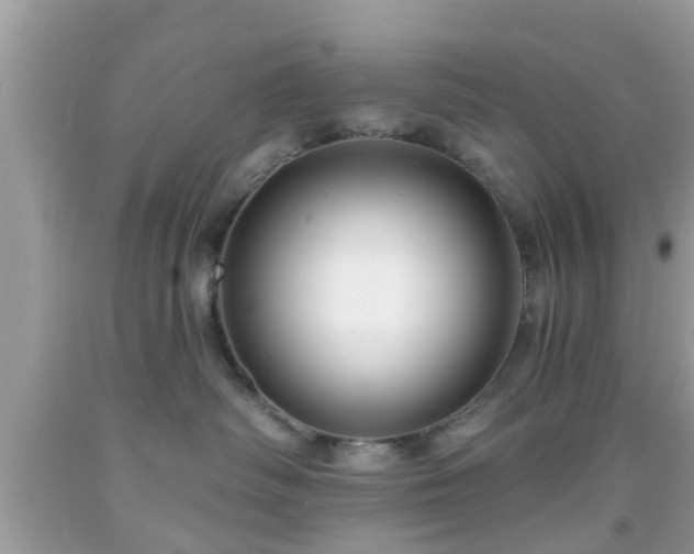 X0000091990334200709131459