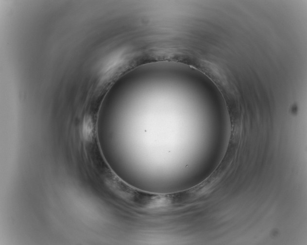 X0000091990335200709131459