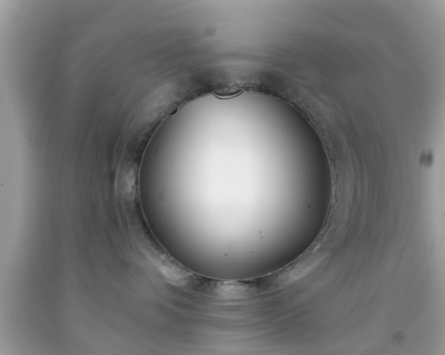 X0000091990336200709131459