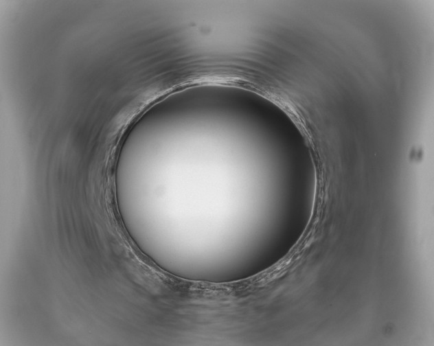 X0000091990337200709131458