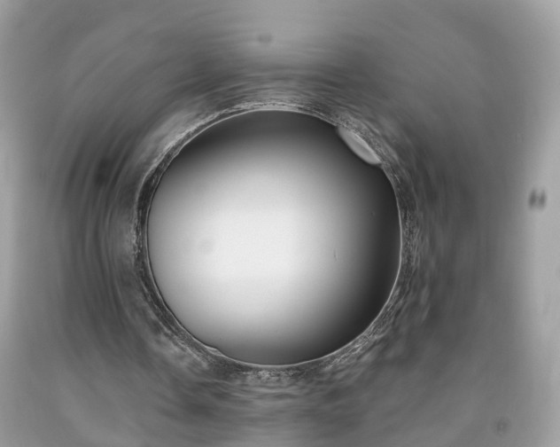 X0000091990338200709131458