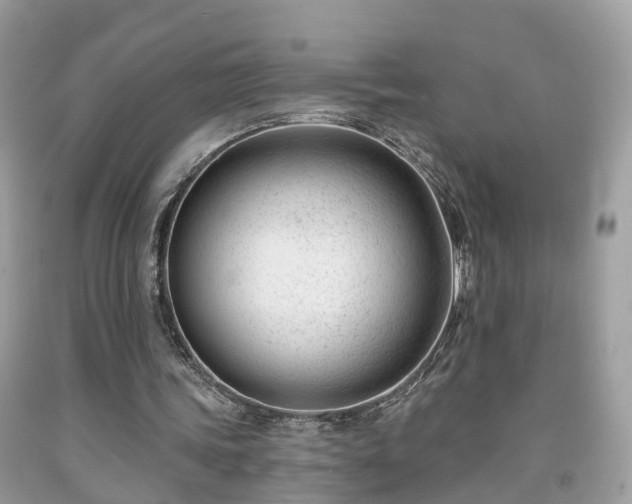 X0000091990339200709131458
