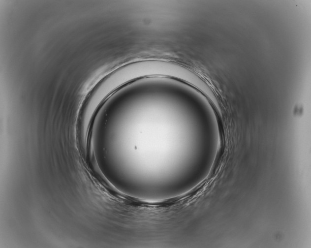 X0000091990340200709131458