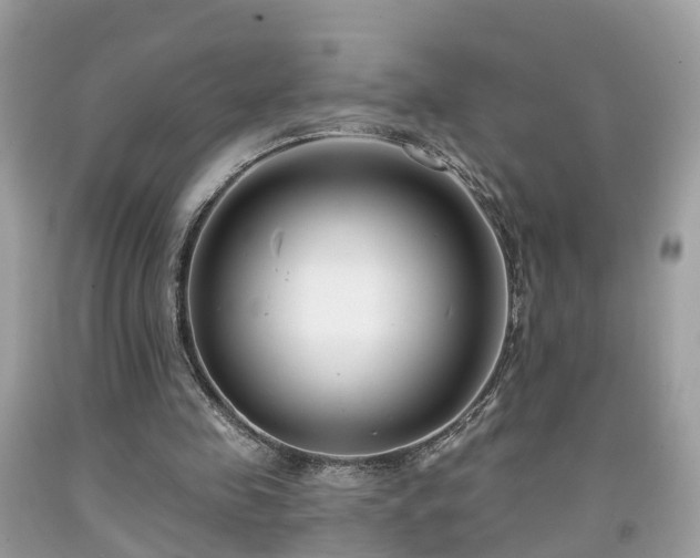 X0000091990341200709131458