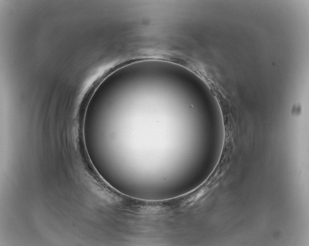 X0000091990342200709131458