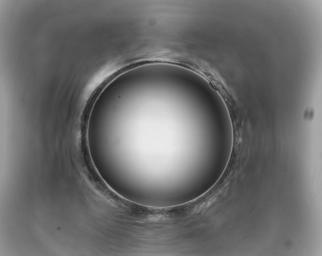 X0000091990344200709131458