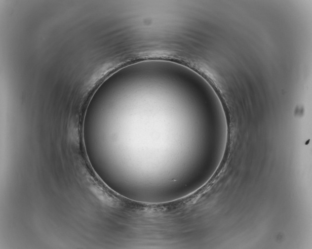 X0000091990345200709131458