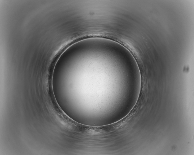 X0000091990346200709131458